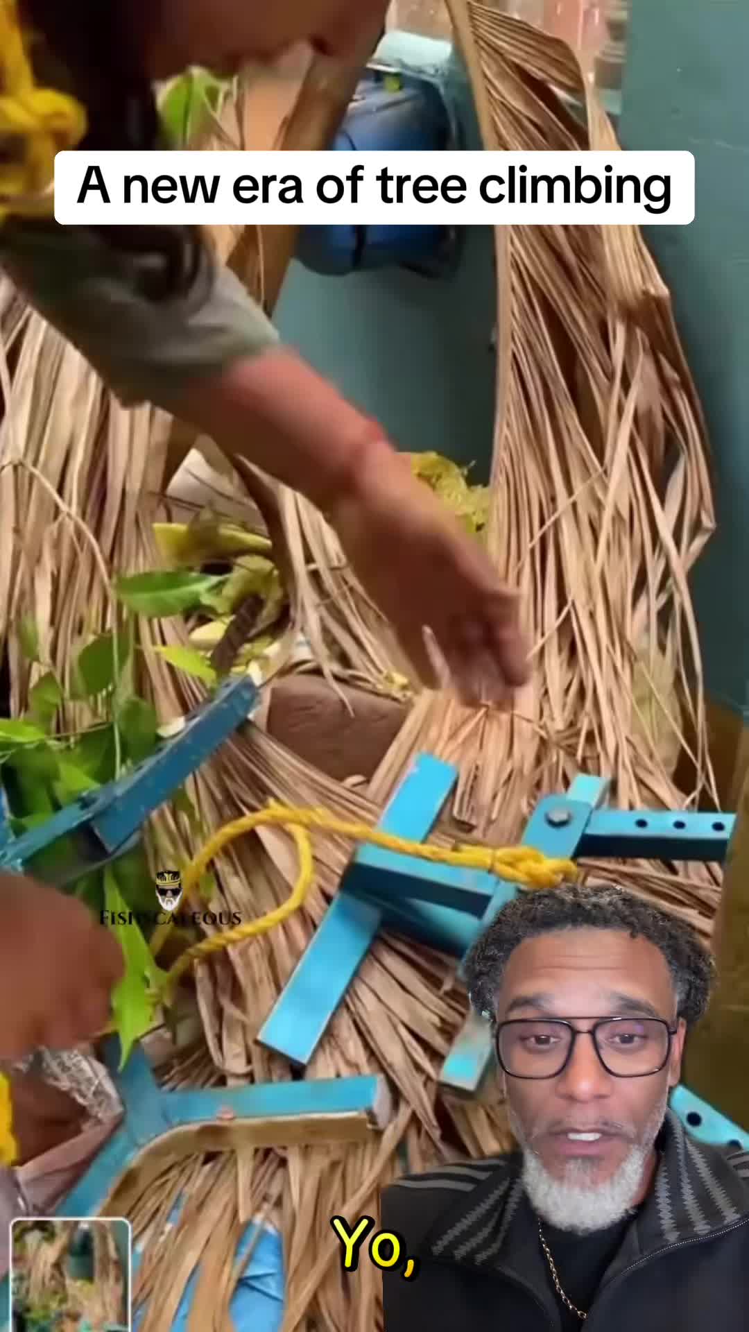 @Fishscaleous