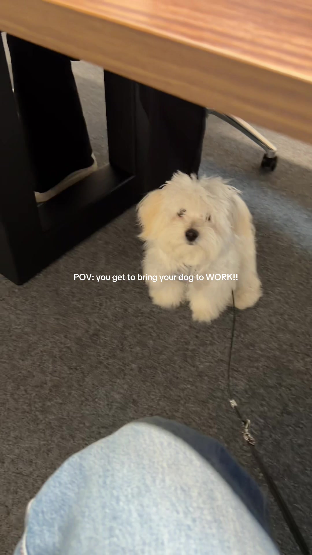 @claire 🐹