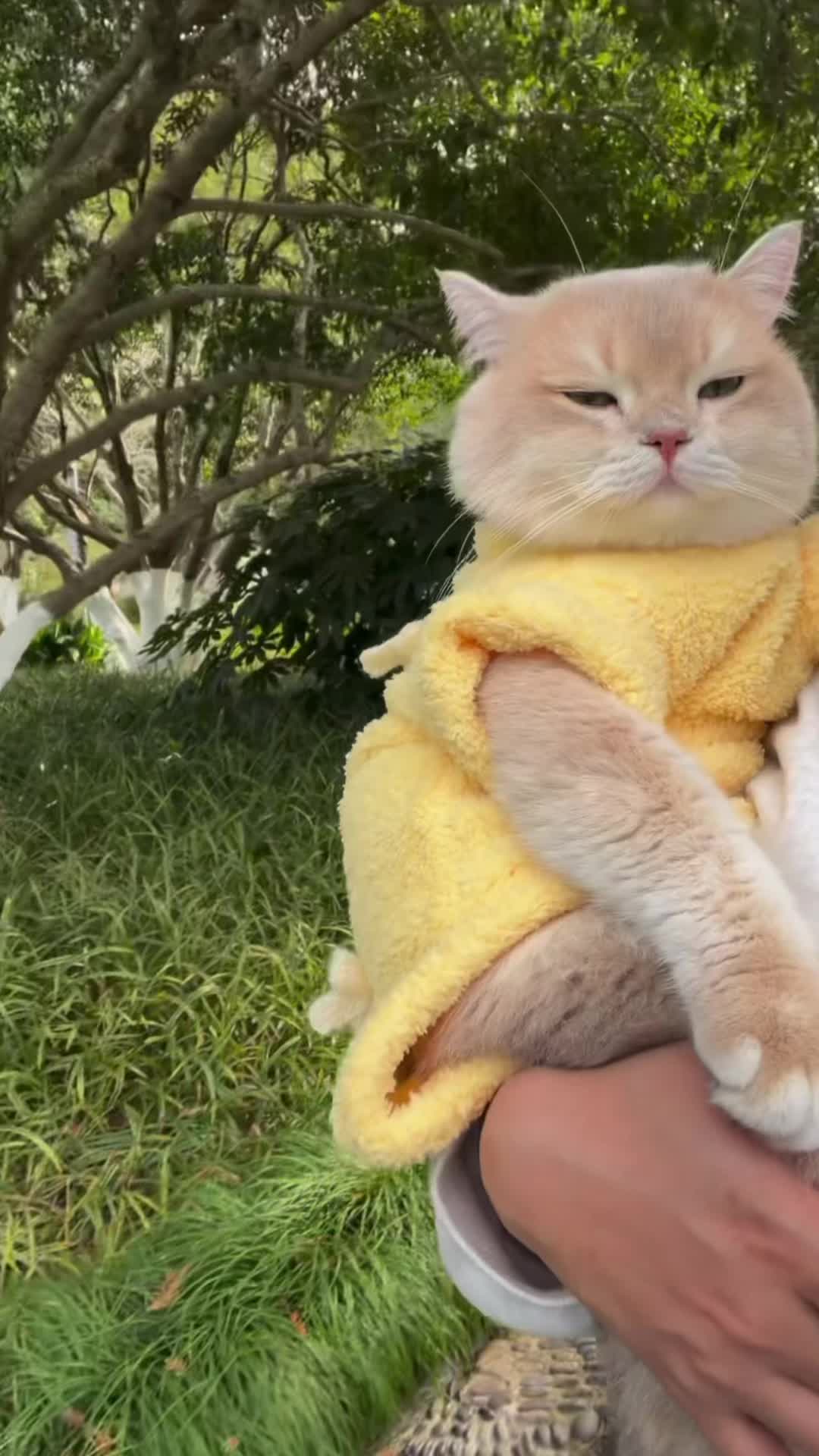 @My Daily Dose of Aww