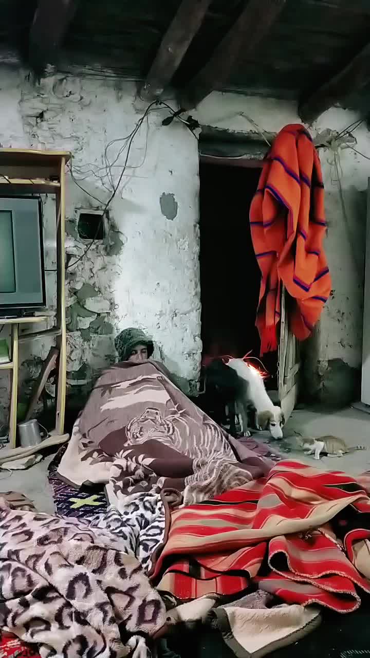 @ايوب جونيمار