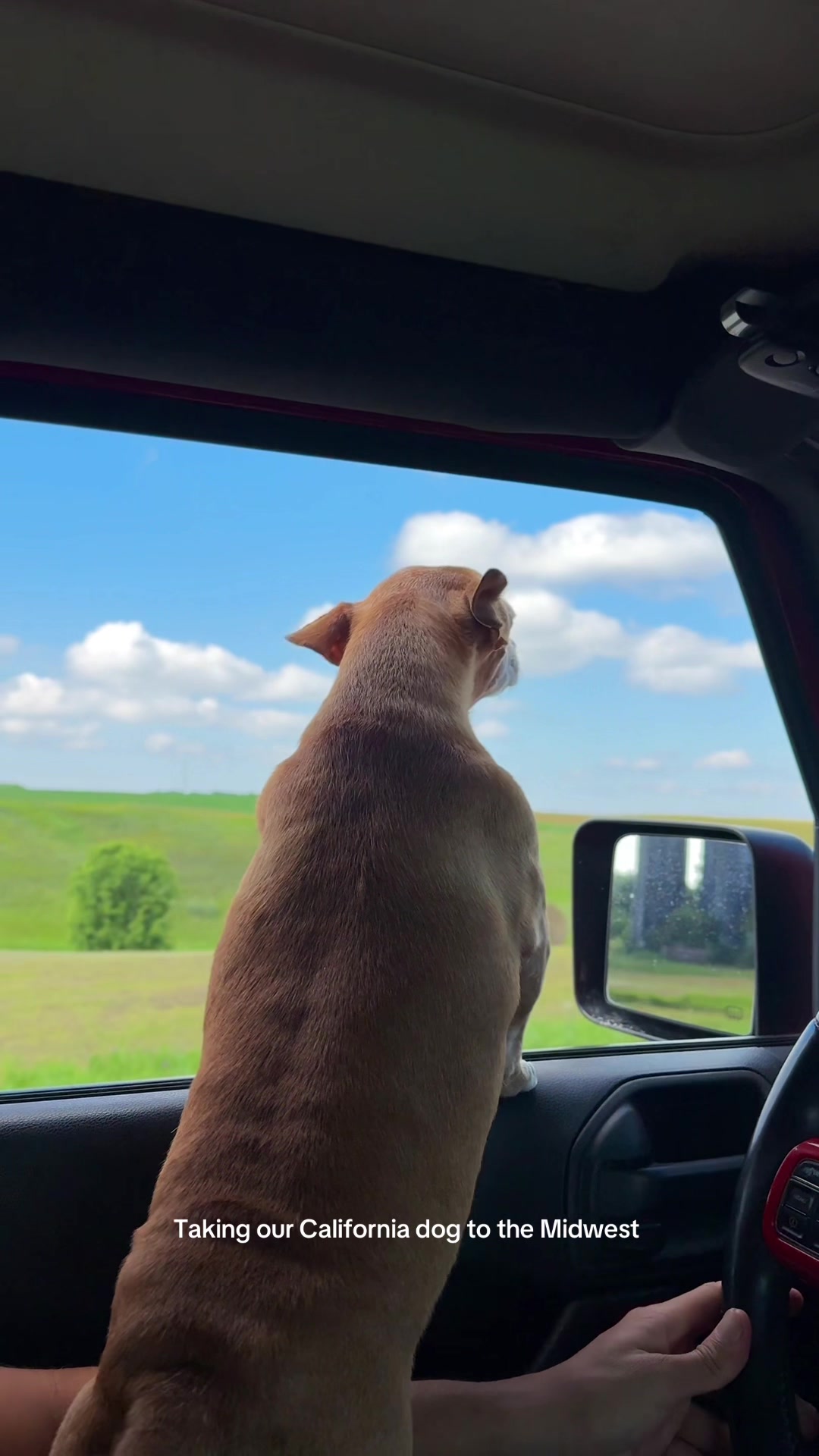 @sky