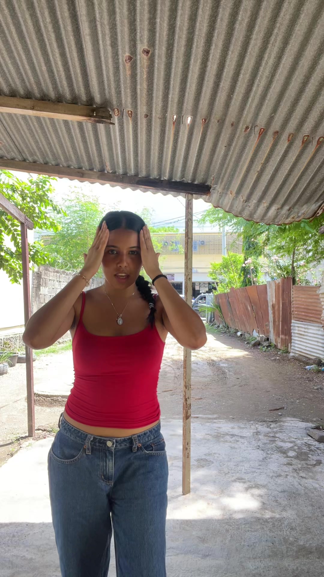 @dansiagomes