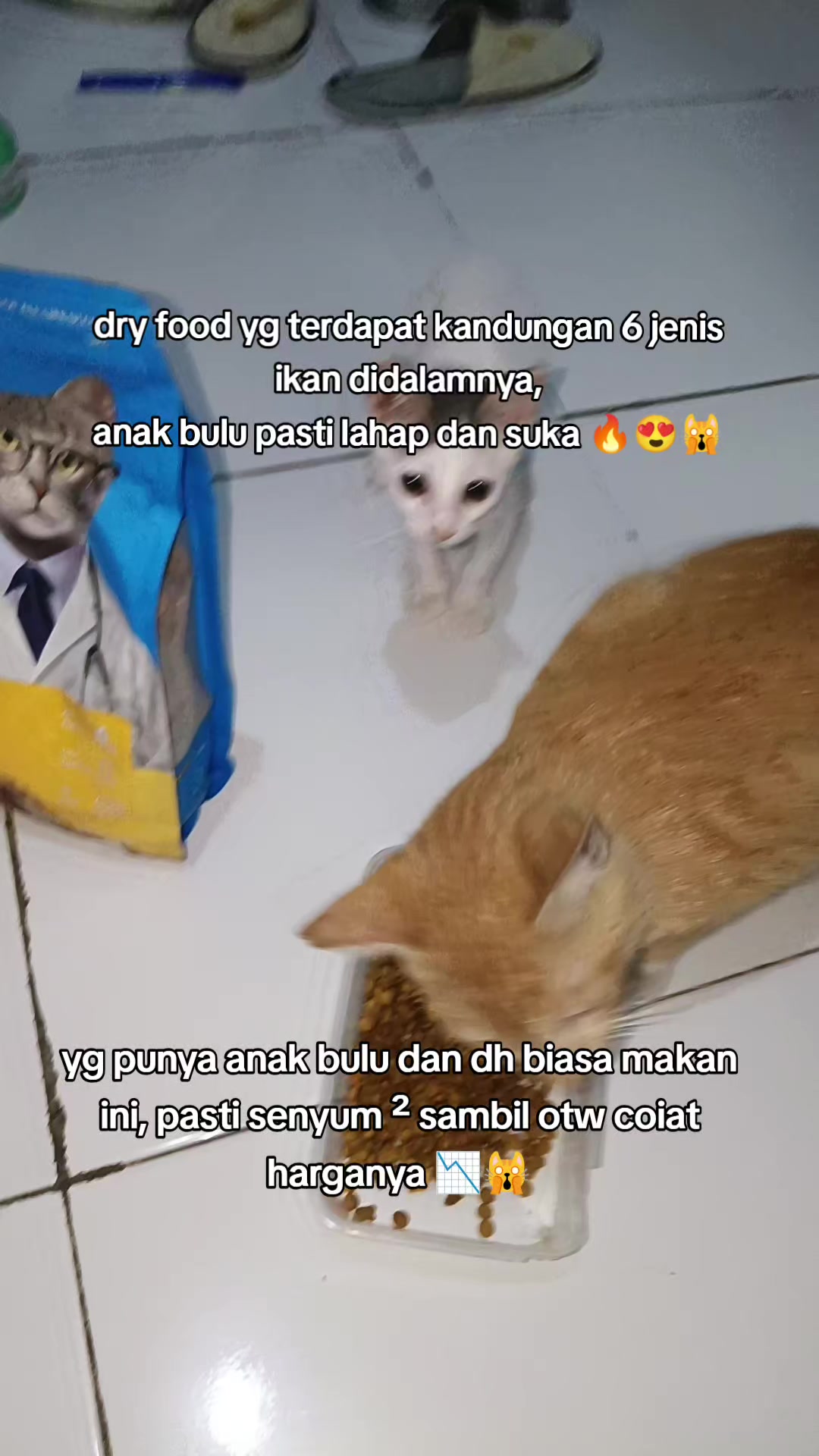 @Marhayati Arsyad