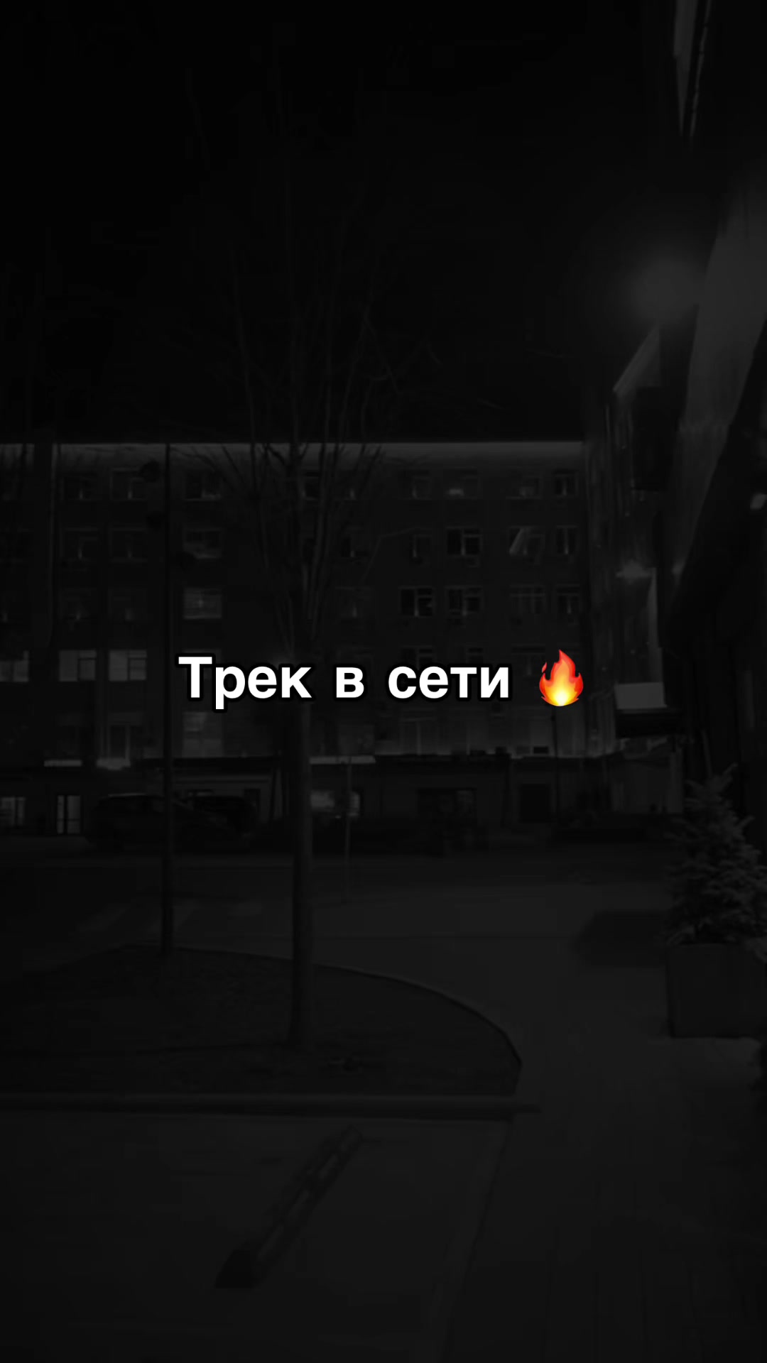 @BINOM MUSIC • ШАБЛОН