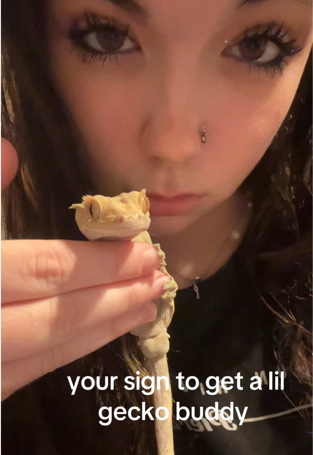 @sophie