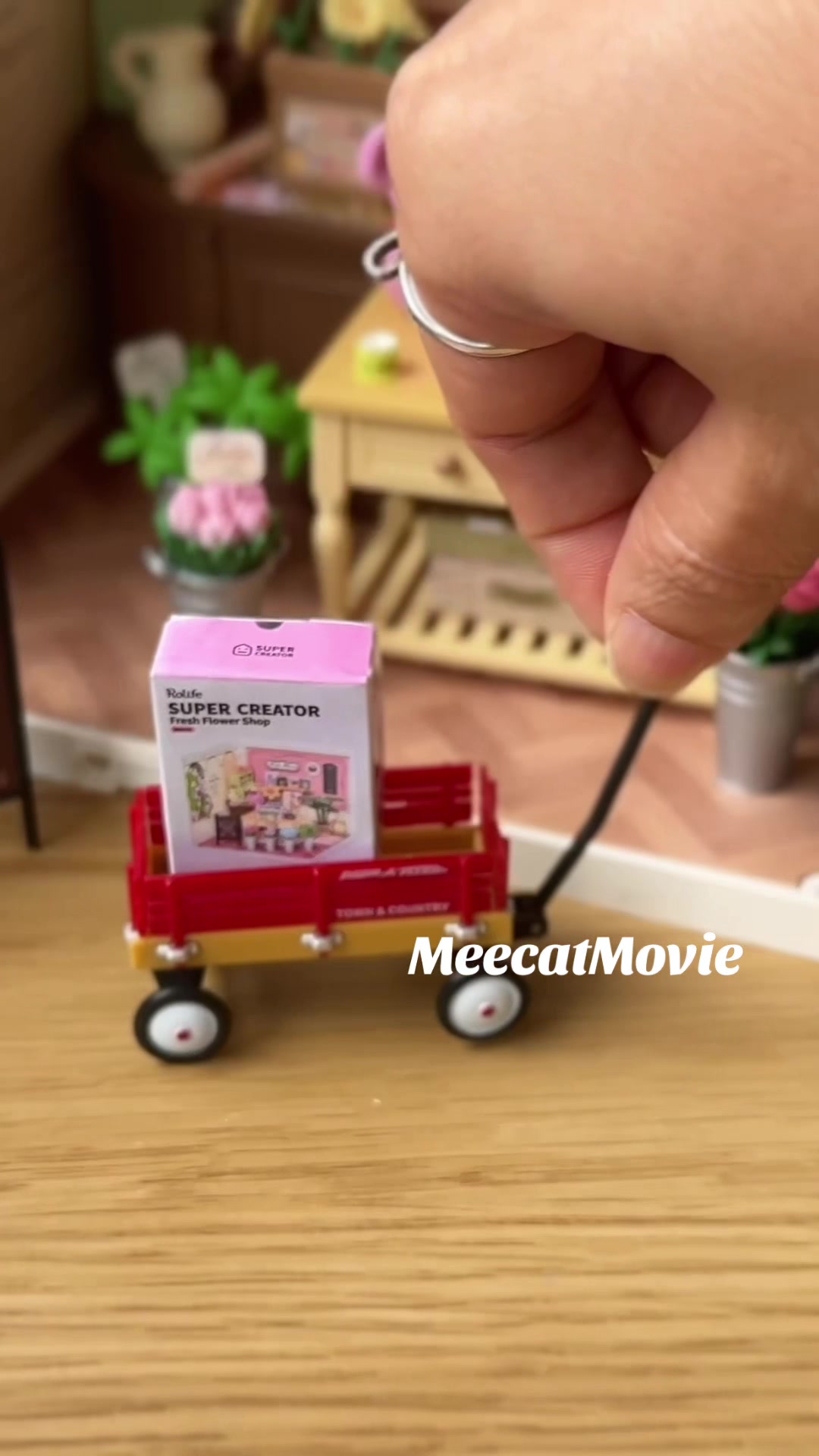 @Meecat