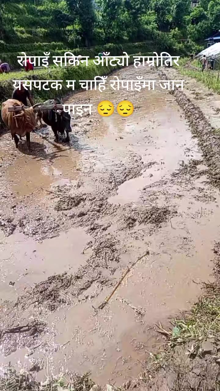 @अन्जु पौडेल