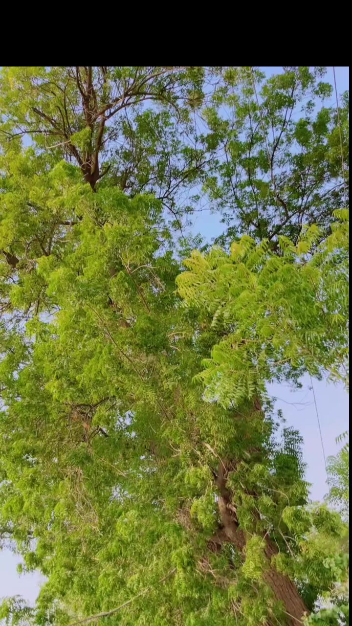 @Shabir Bukhari