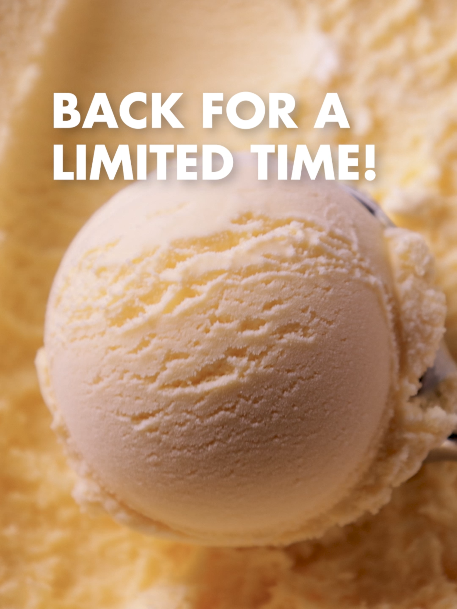 @Blue Bell Ice Cream