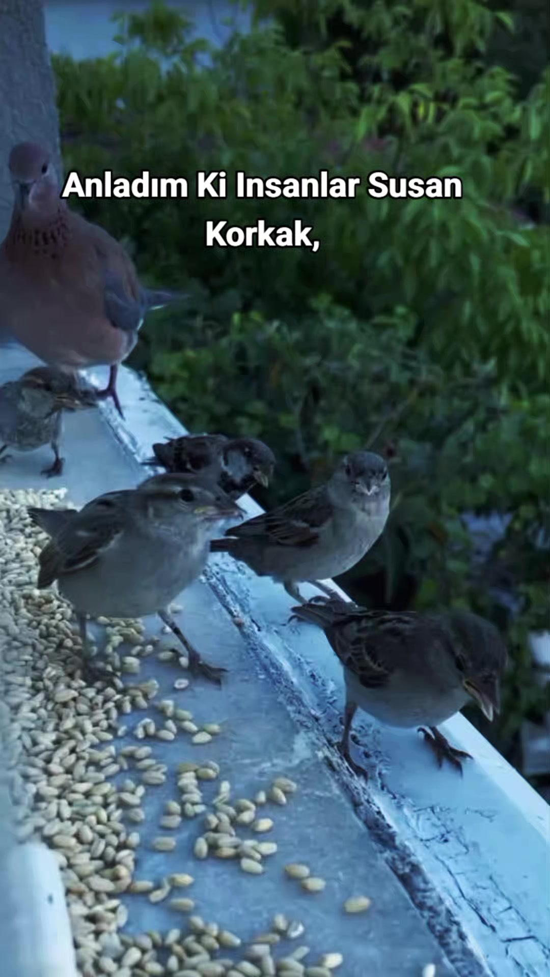 @Kur'an_ayet_hadis_ve_duâ