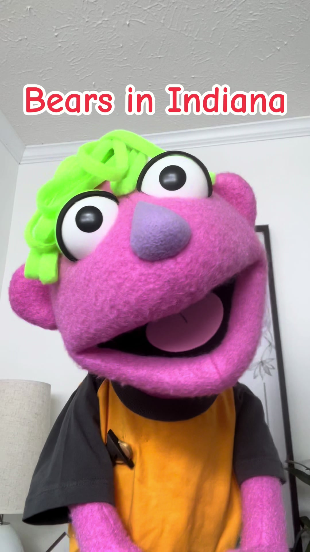 @𝘋𝘪𝘯𝘹 𝘵𝘩𝘦 𝘗𝘶𝘱𝘱𝘦𝘵