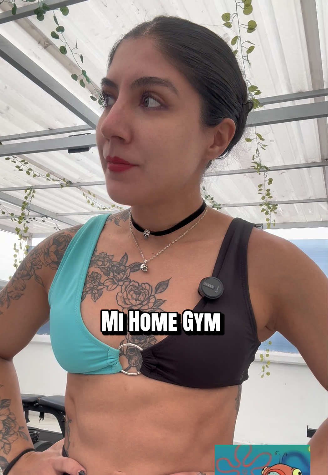 @ariacele