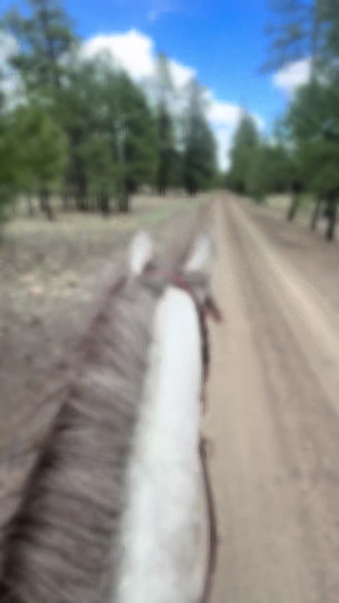 @Ridge Line Ranch