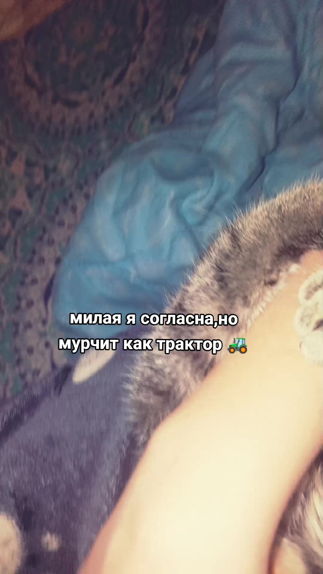 @...