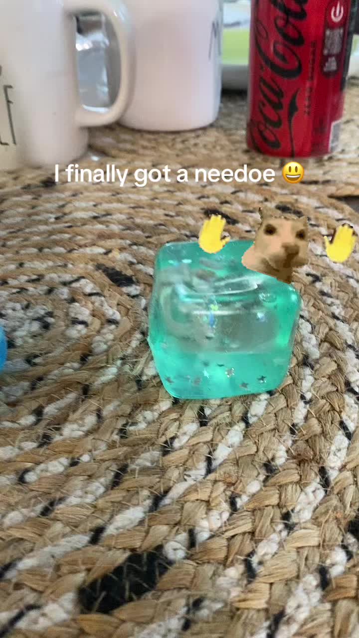 @thiagomsm0