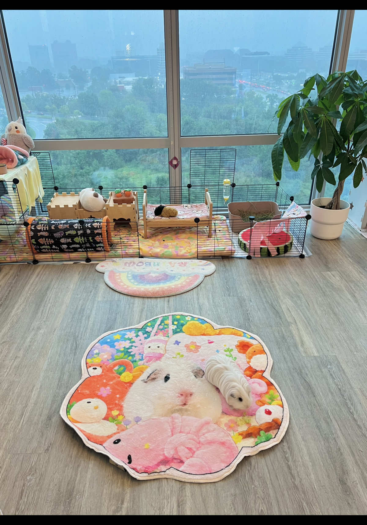 @pumpkin_panda_home