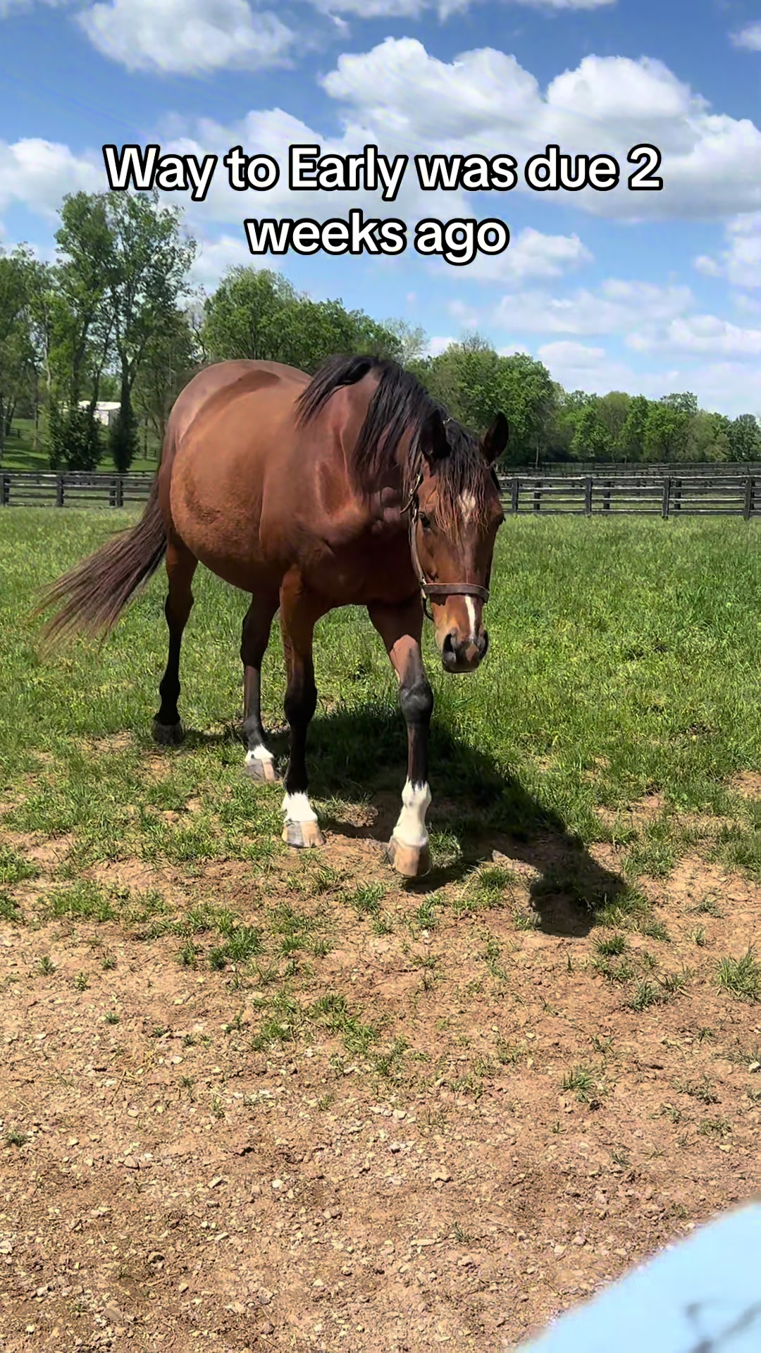 @MesingwFarm