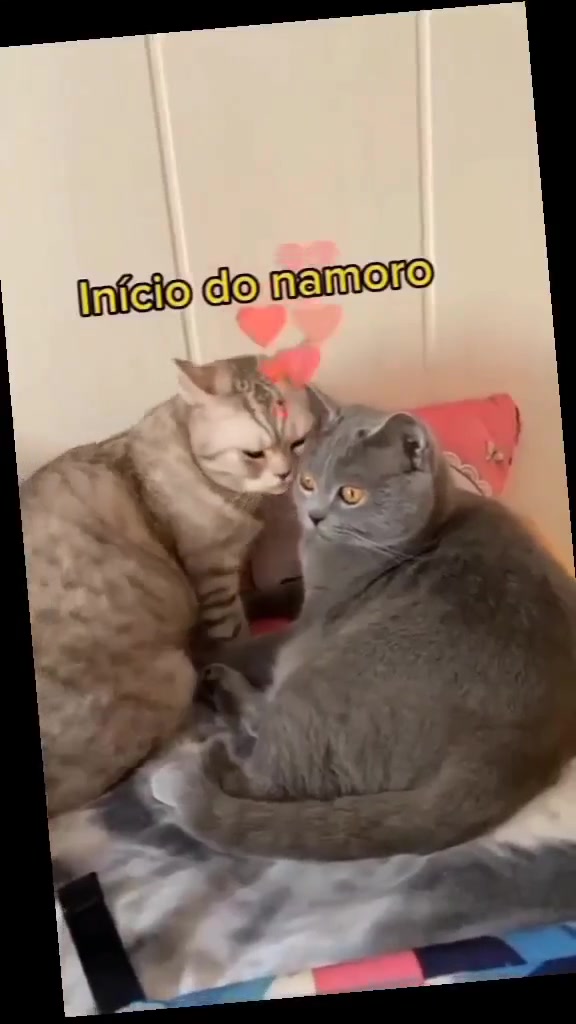 @Lusitonio Machado Do