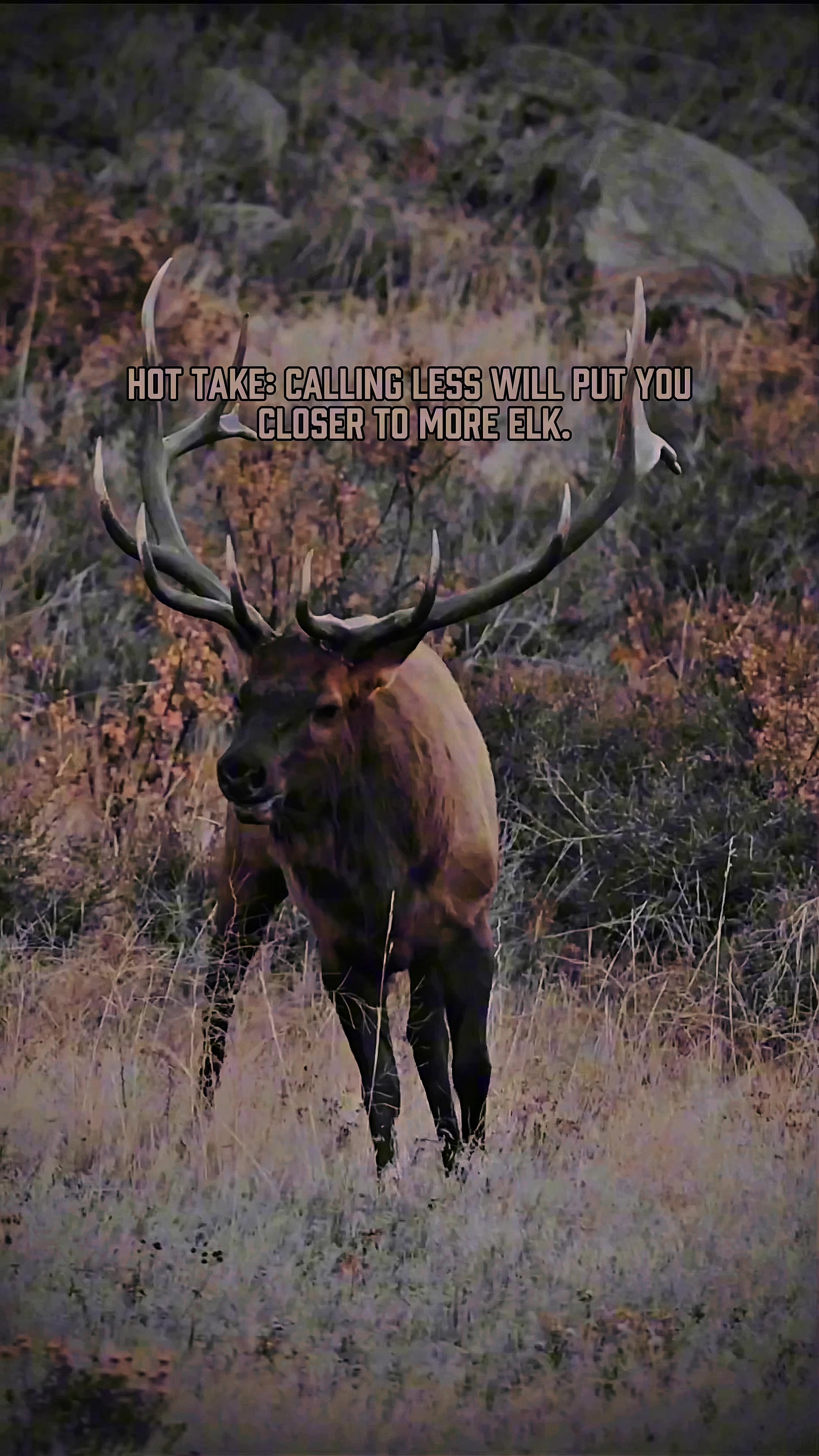 @Wild Born Outdoors - Saxton