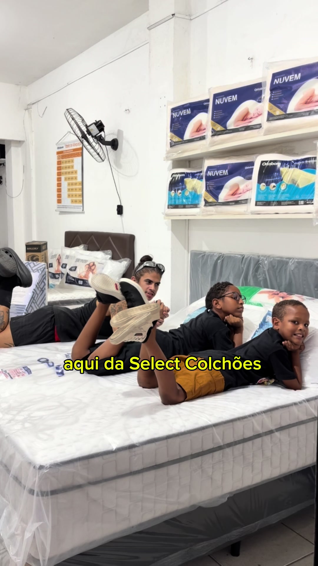 @linnykealves