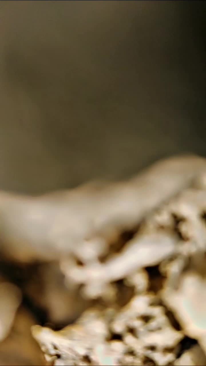 @𝐒𝐇𝐀𝐁𝐄𝐄𝐑 4𝐊