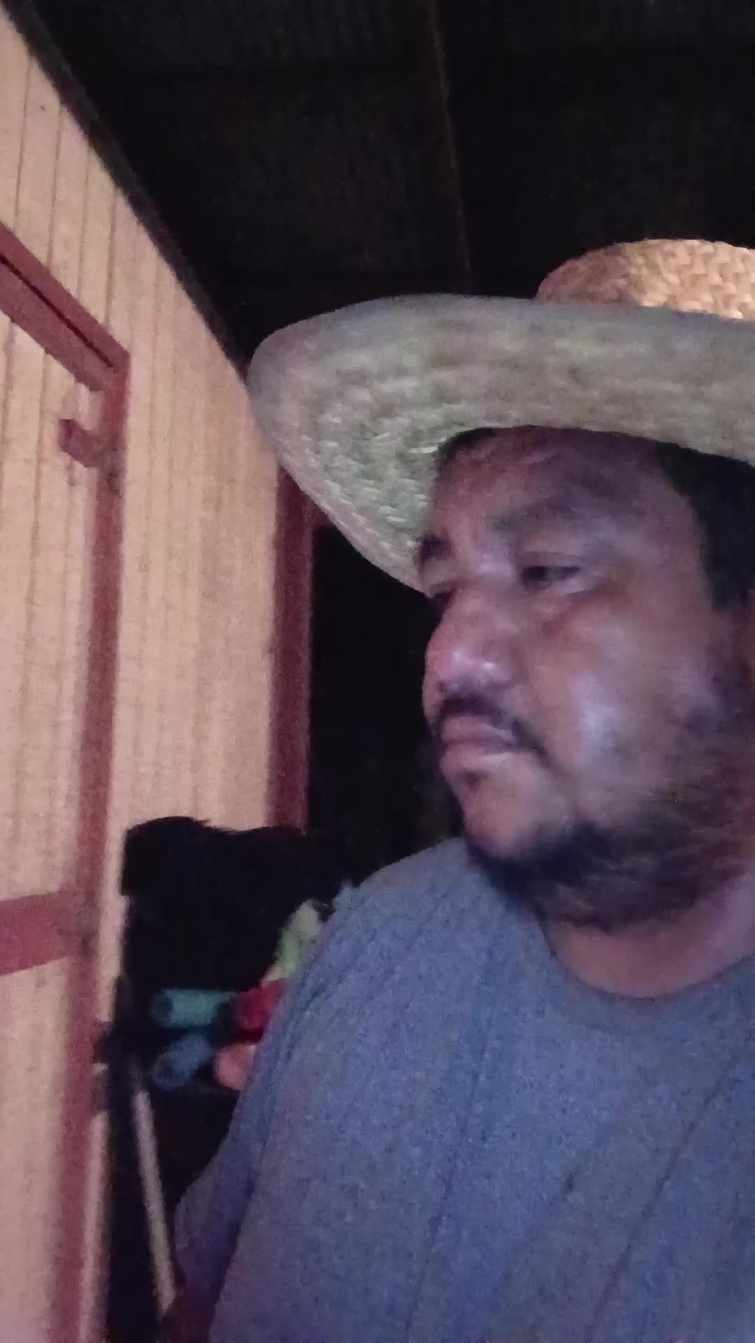 @nacho el jarochito 81