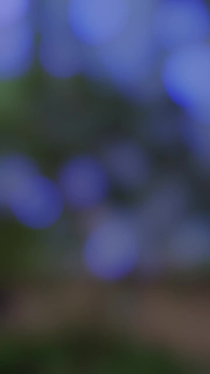 @ℚᗅⅅⅈℛ Kℍᗅℕ