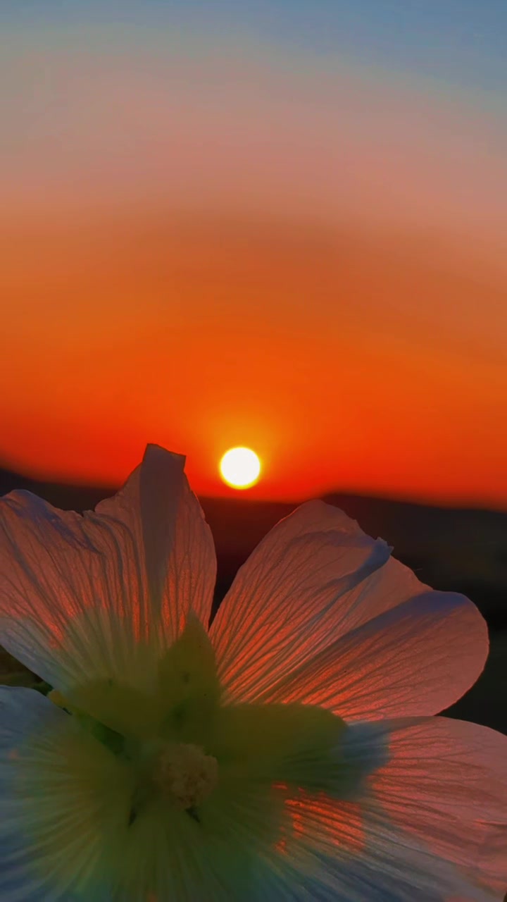 @𝐒.☀️