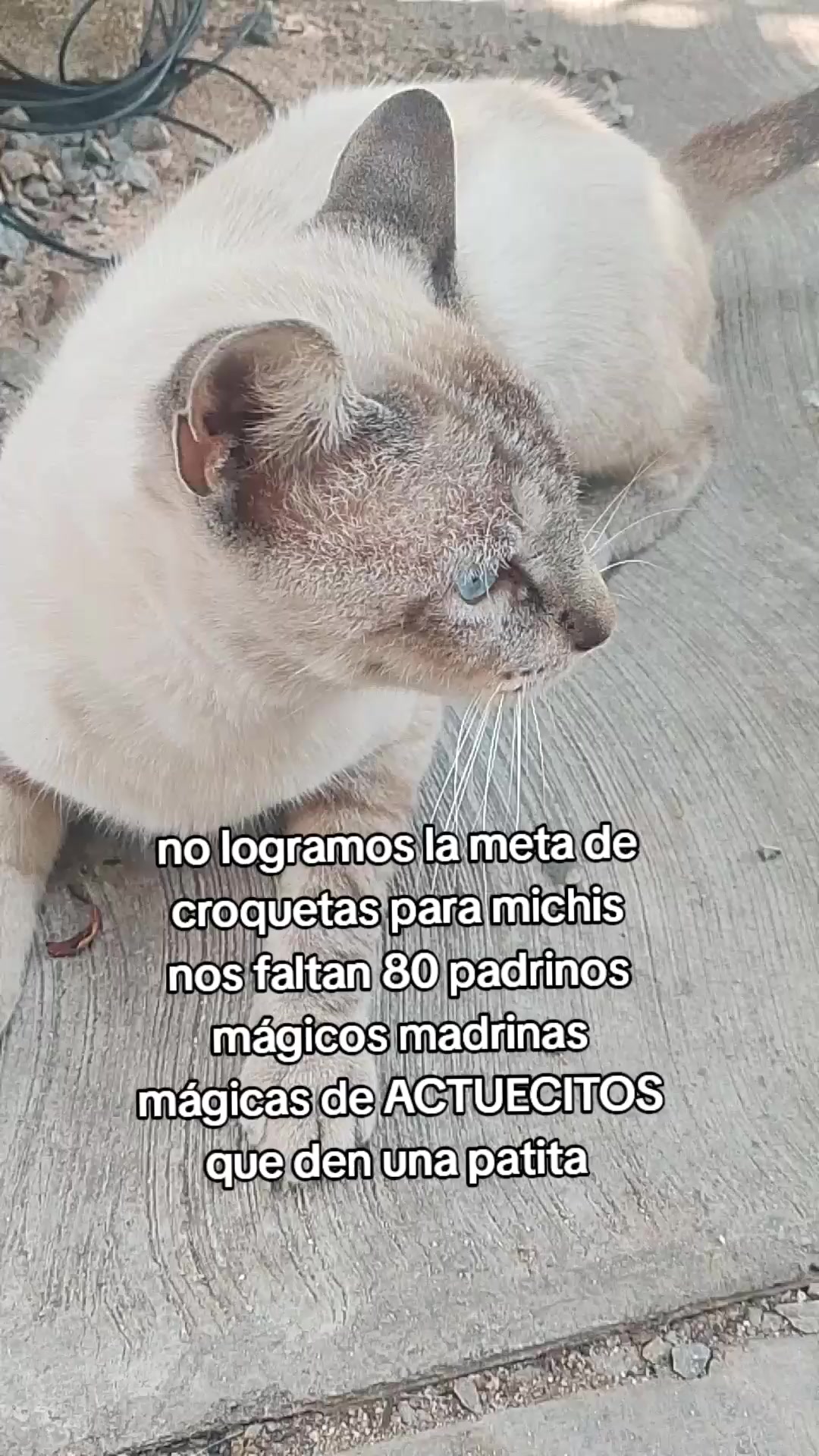 @Adriana Torres ACTUE