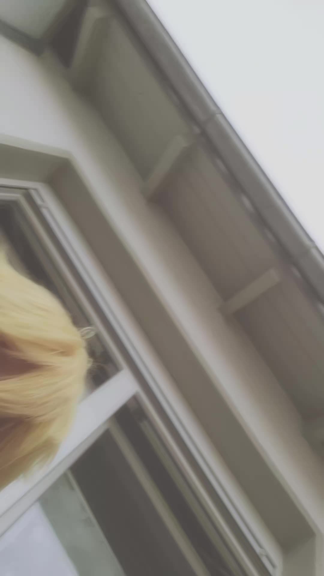 @๐โจ๐จ๐๐๐/๐๐๐โจ๐
