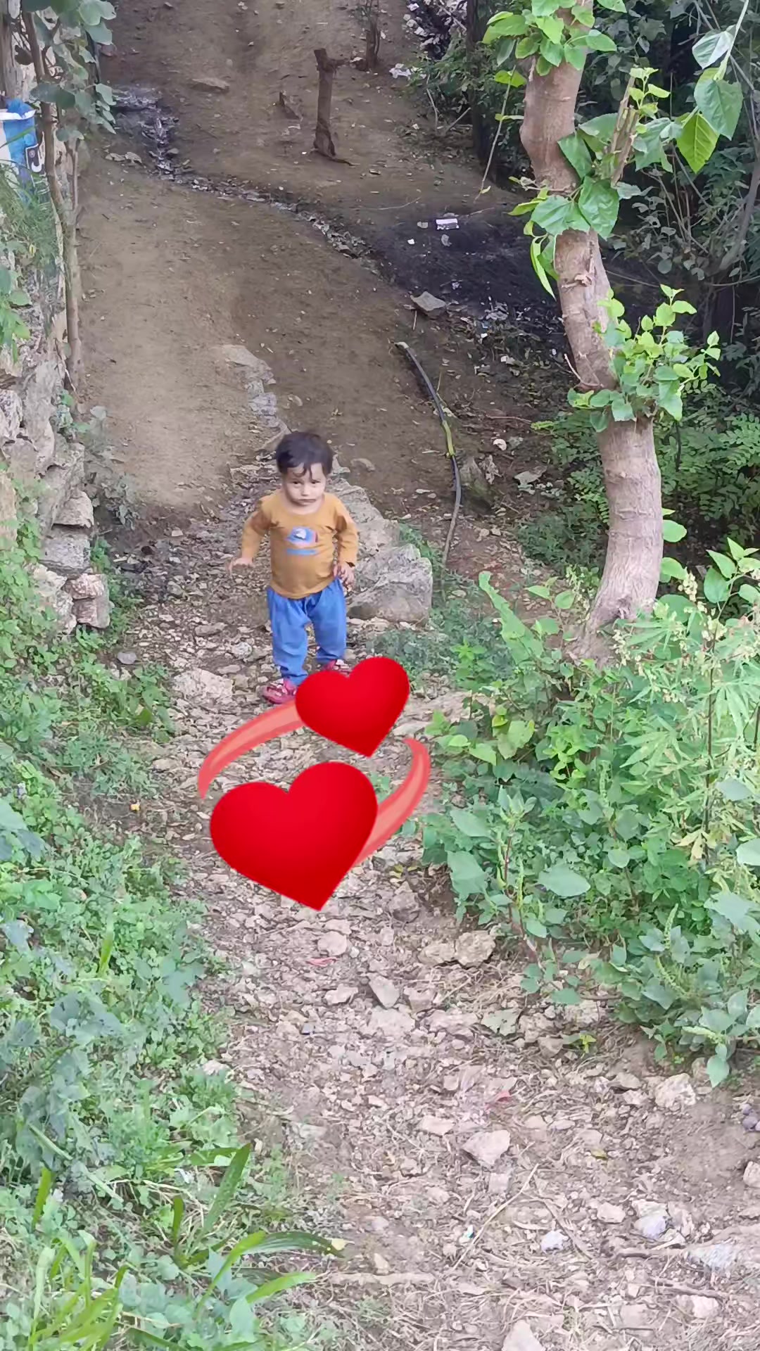 @Aziz khan 447
