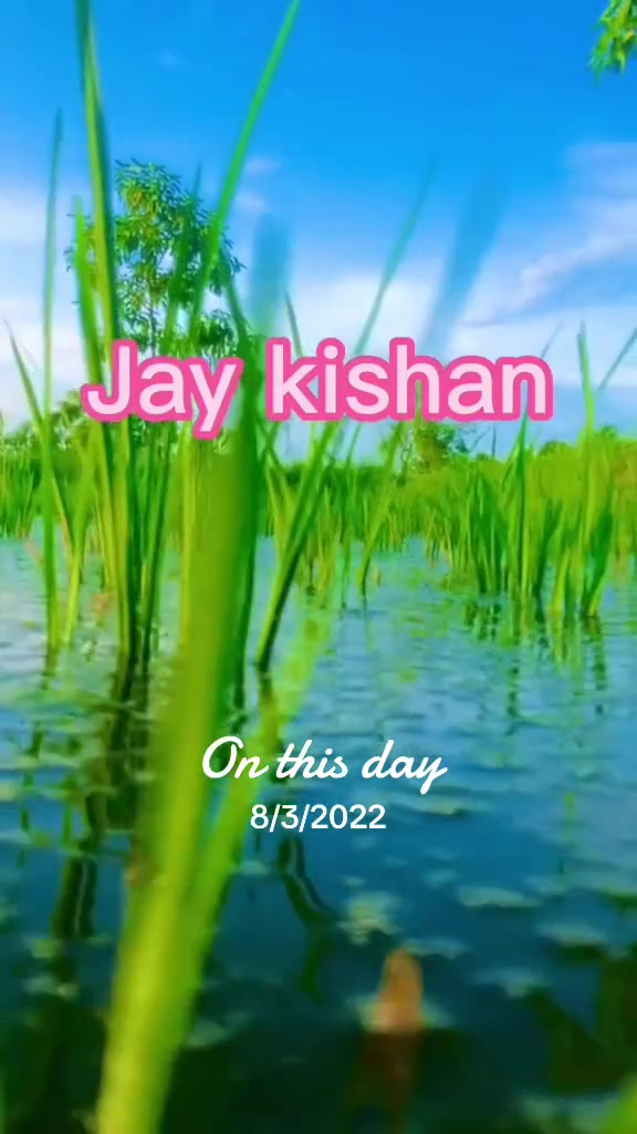 @Pulsar220f-lovers 