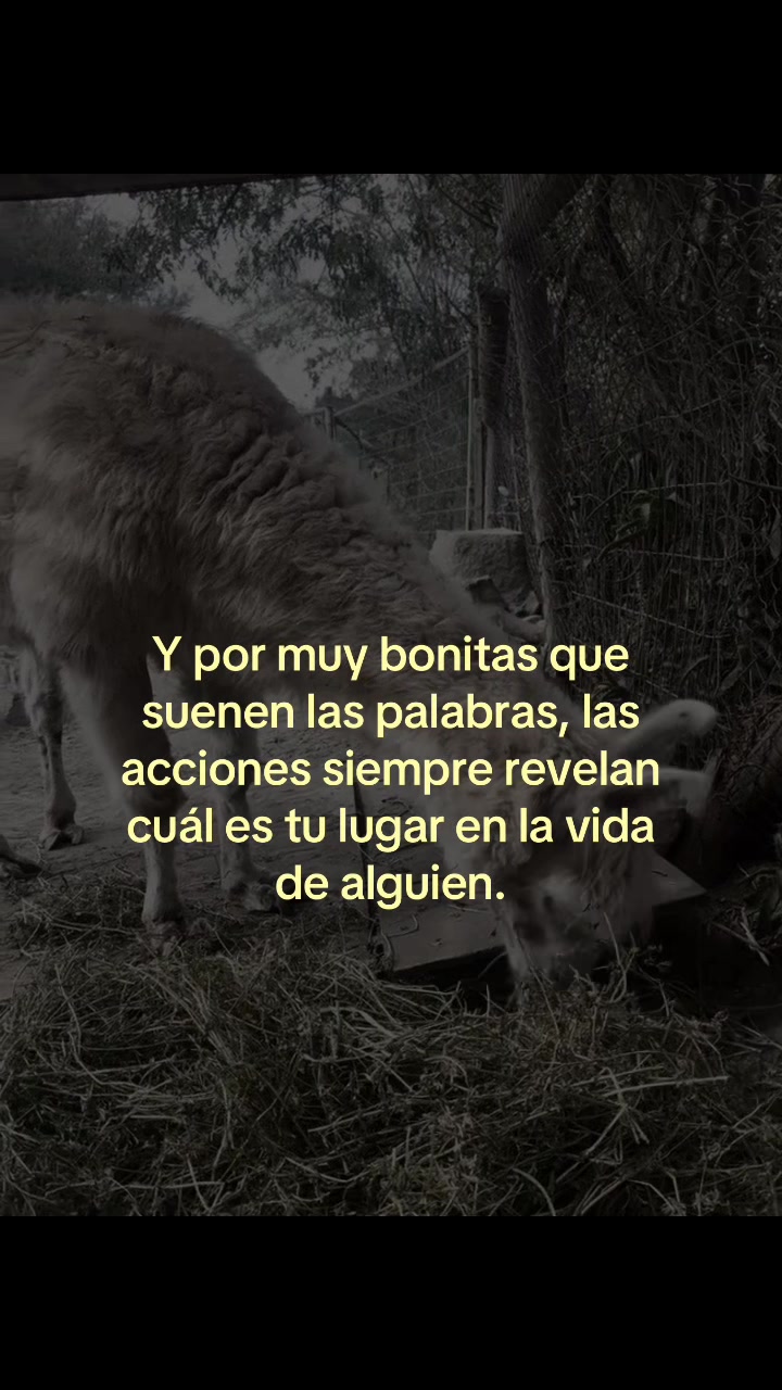 @cvmiilaa.gg