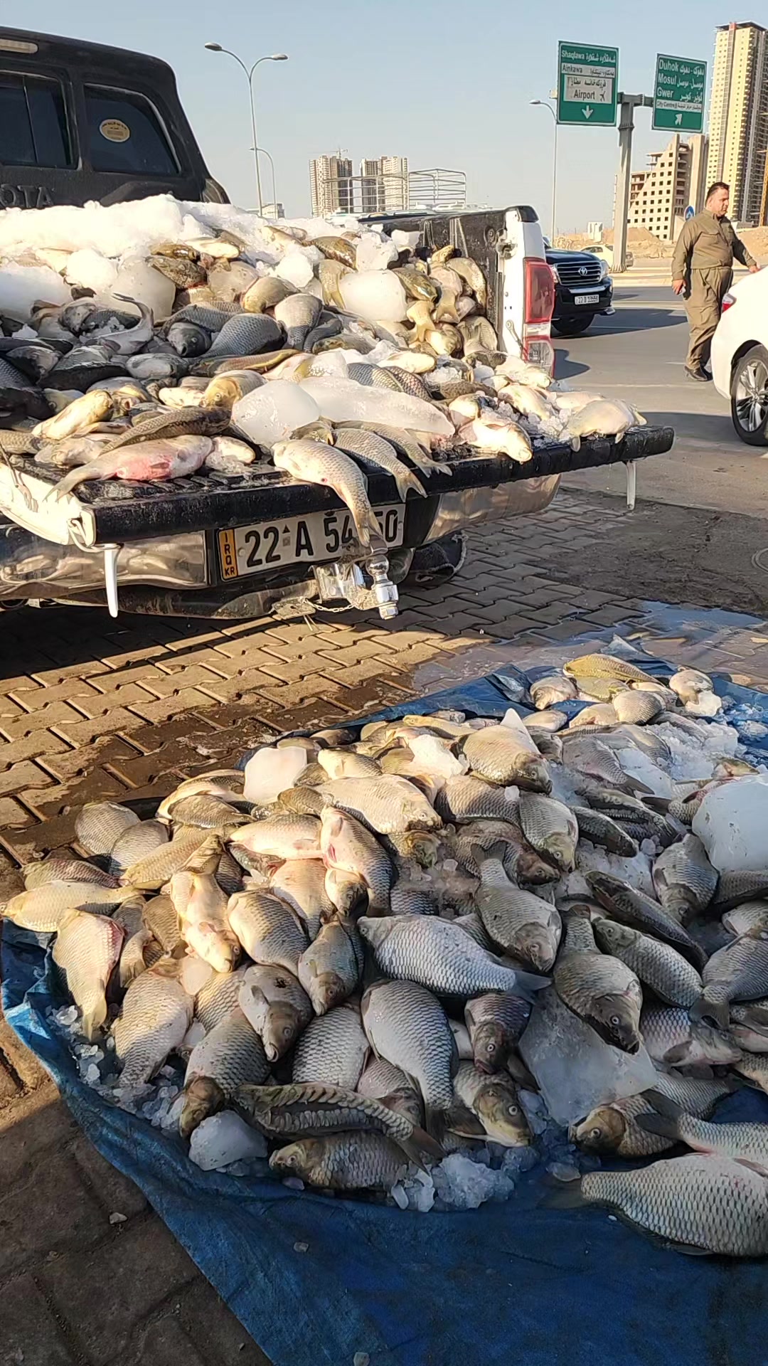 @🐟عارف زراریarf zrare🐟