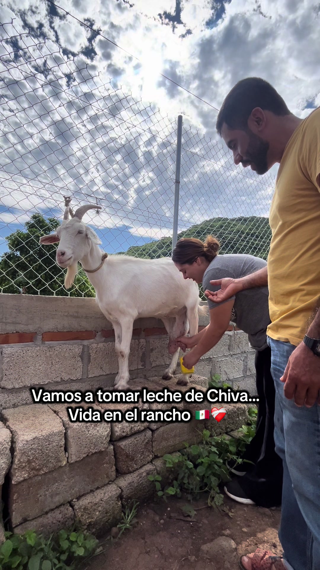 @Jessica De Luna