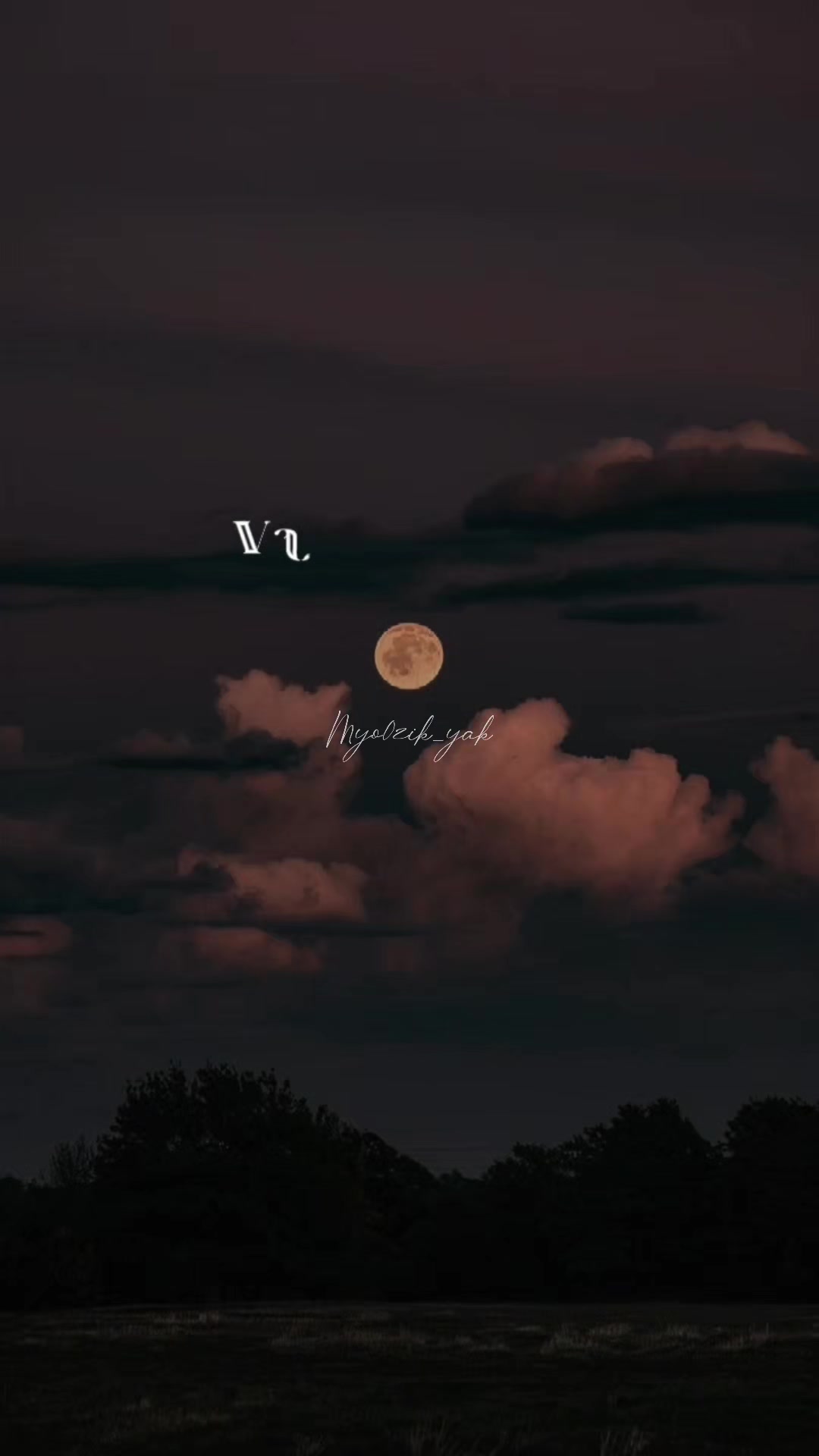 @ꪑꪗꪮ੦ɀỉƙ_ꪗꪖƙ ♪♫♬ 🧬