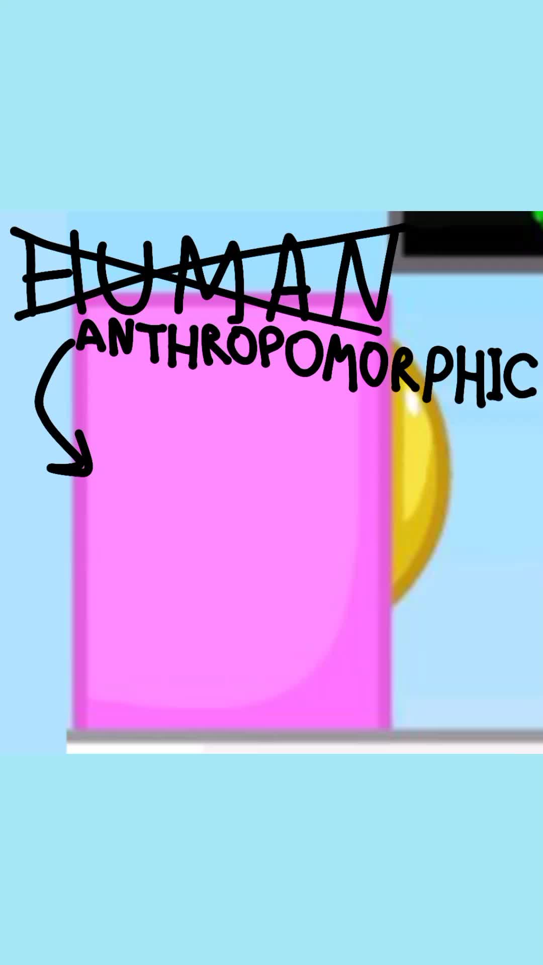 @frannimator