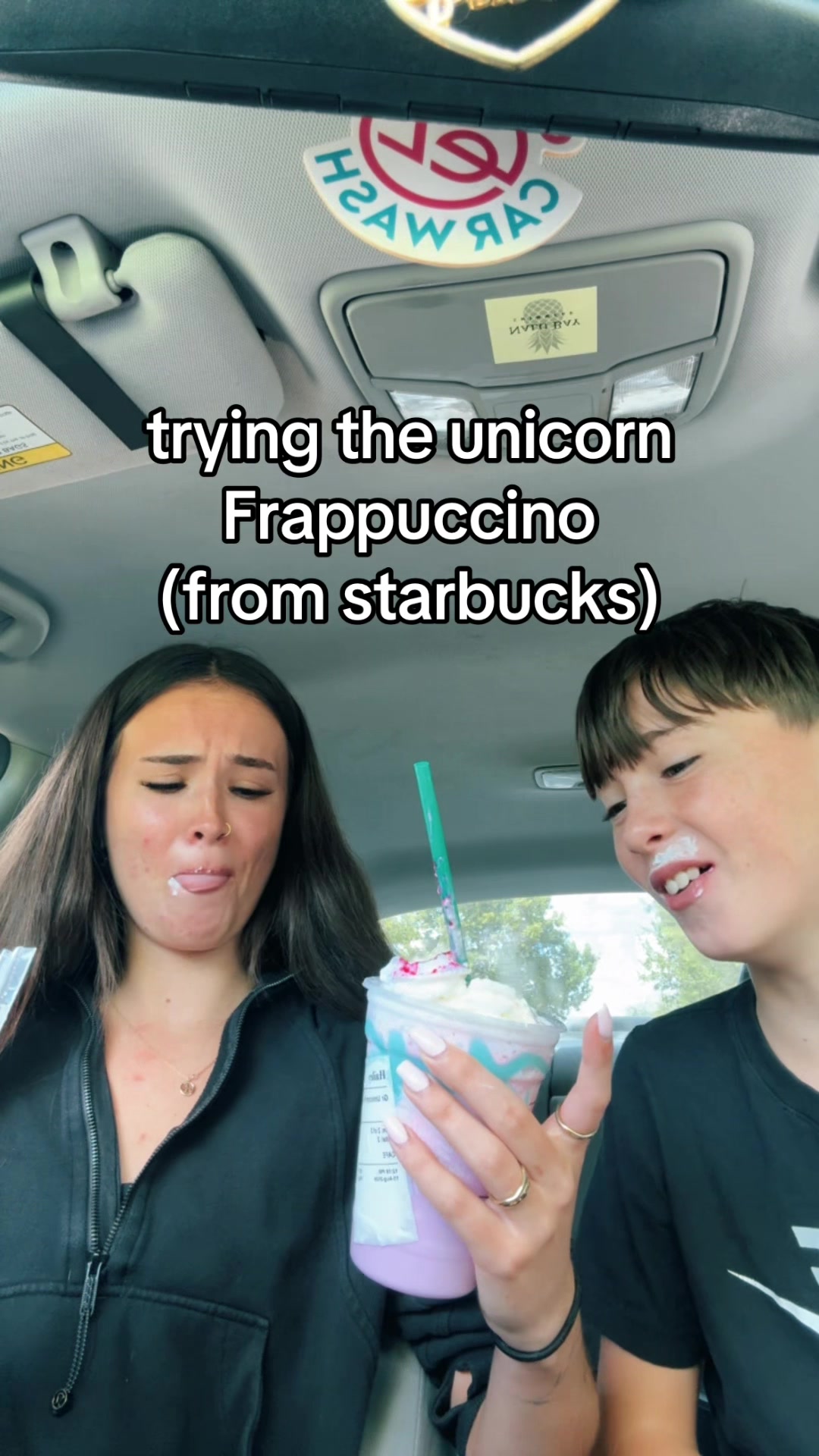 @hayleesfiles