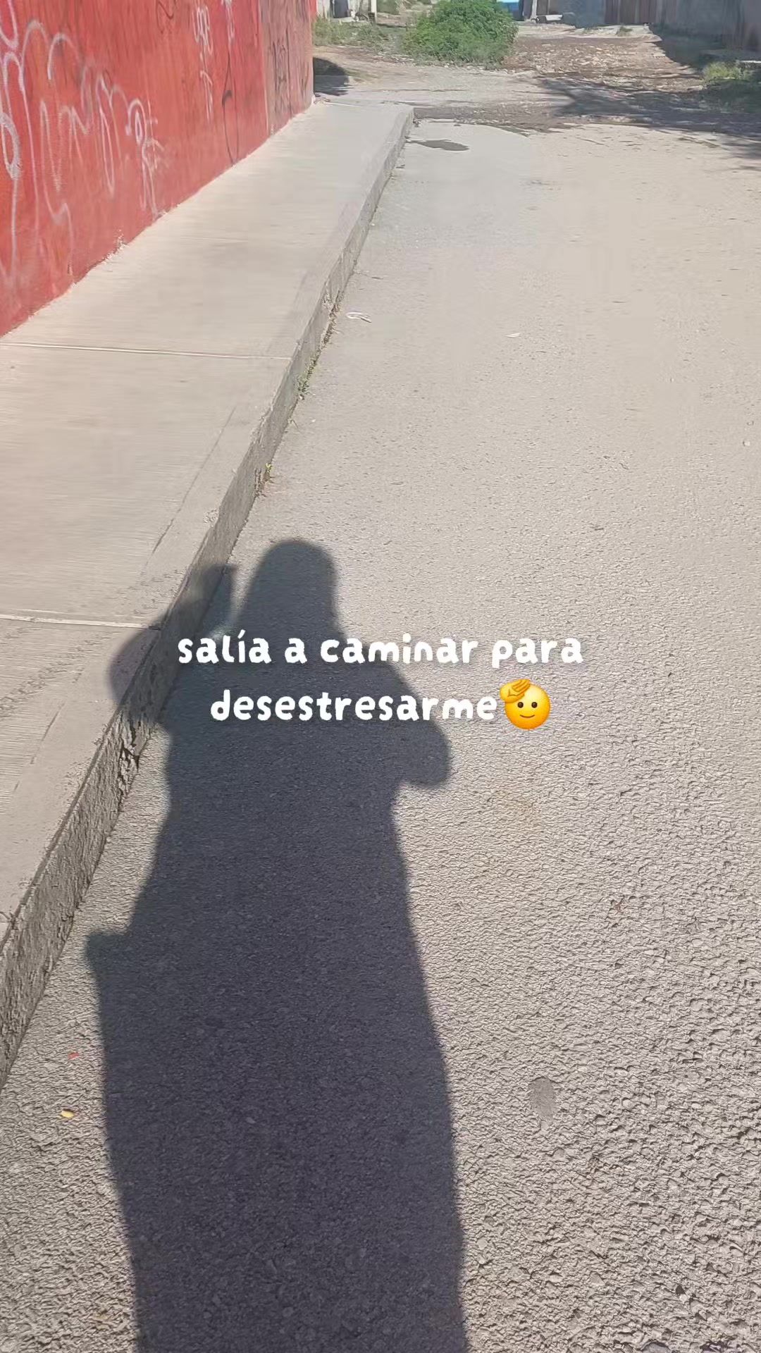 @dani