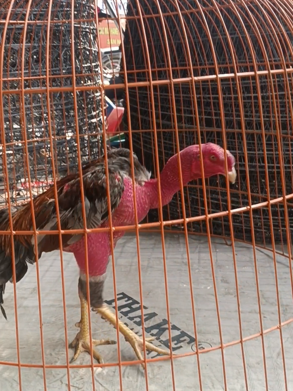 @Tổng Sỉ Hu&acirc;n Hường Thổ Tang