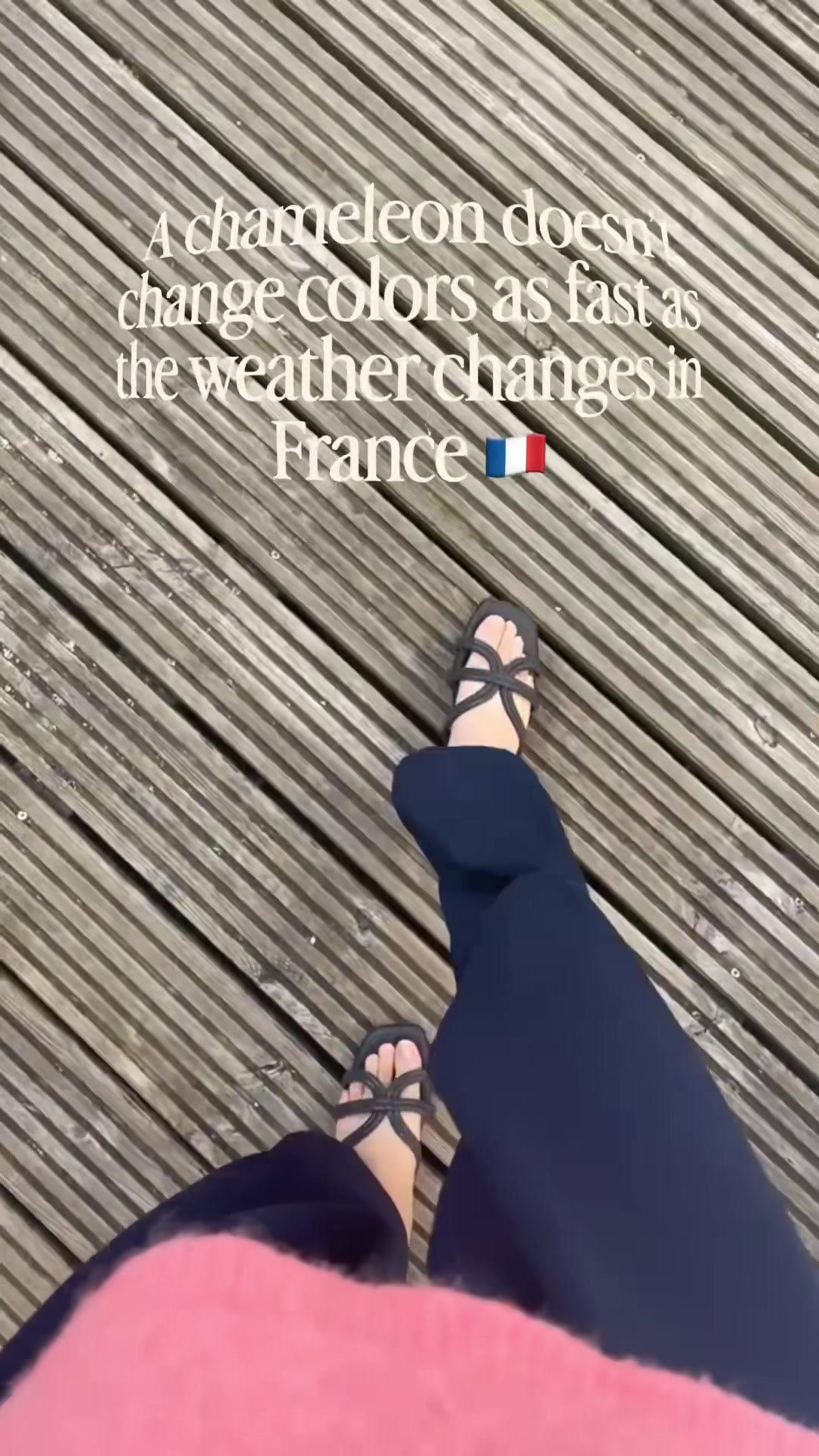 @SaNa🦋🇫🇷