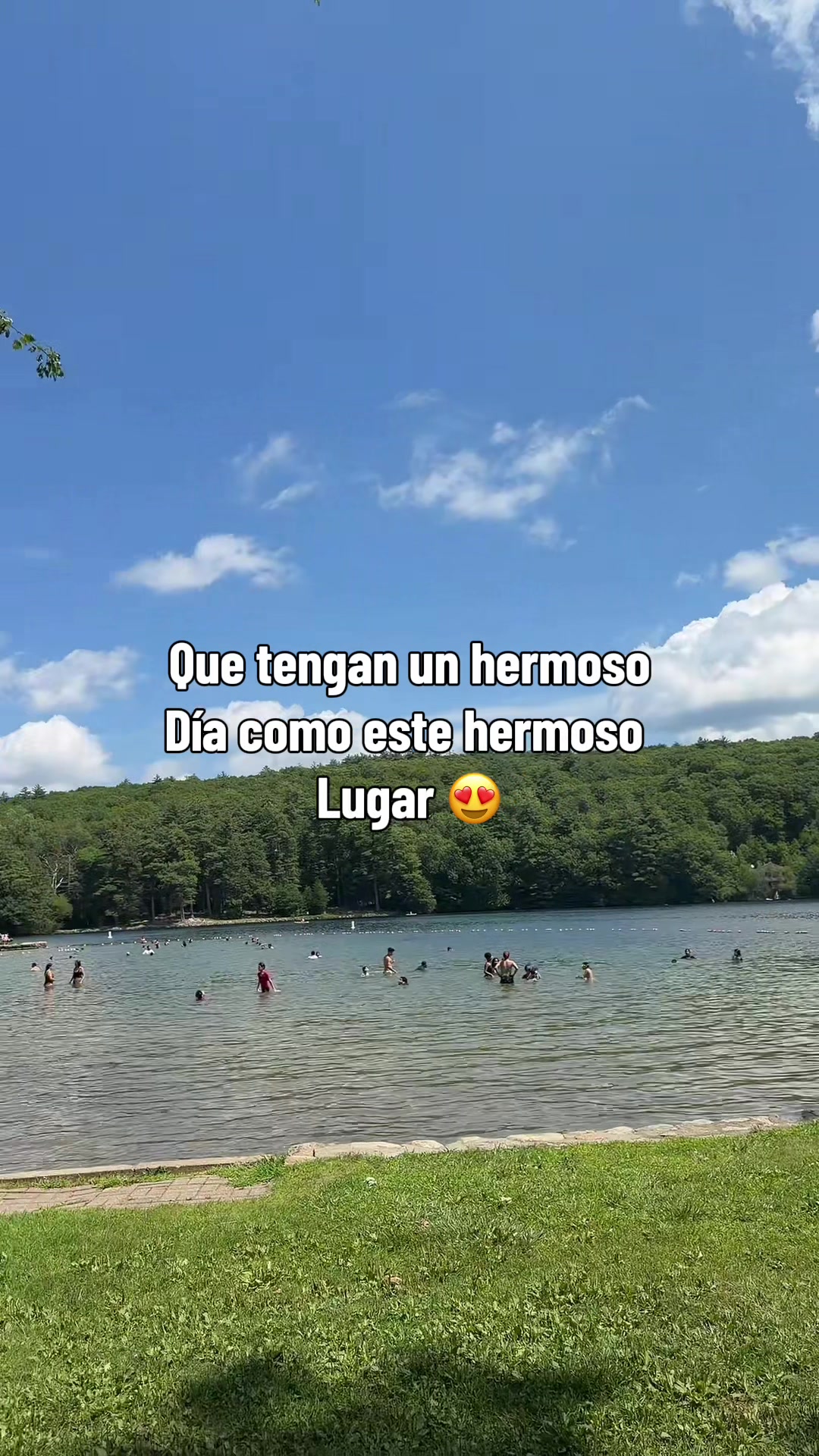 @joselinvilela