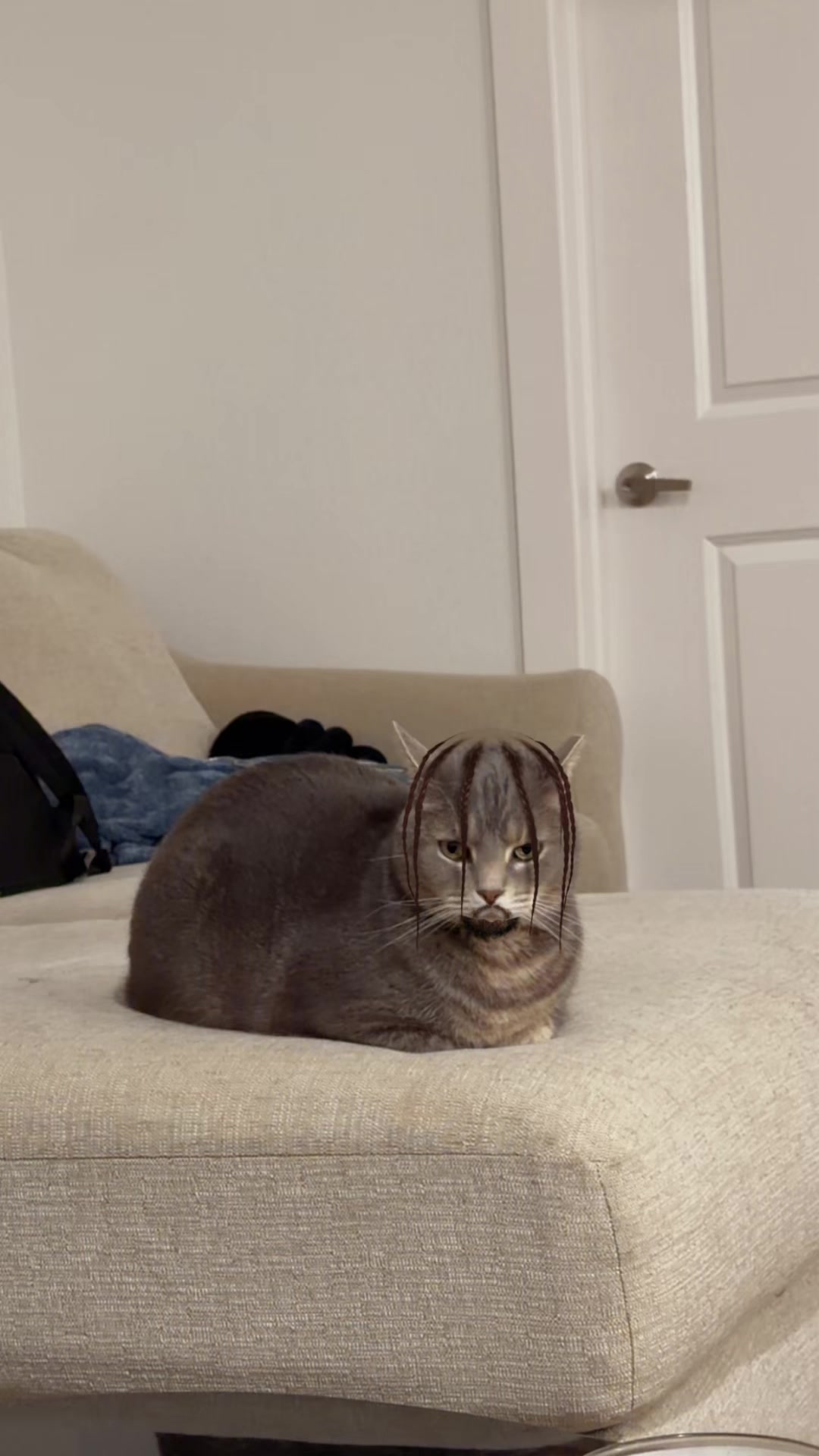 @meatloaf.___