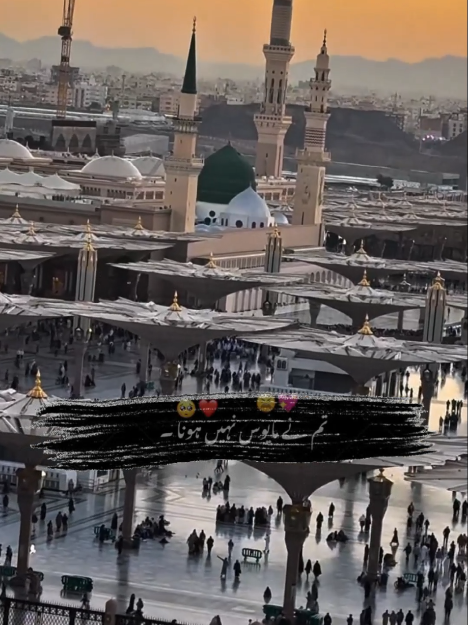 @🦅MB❤️  ❤️🦅🦅