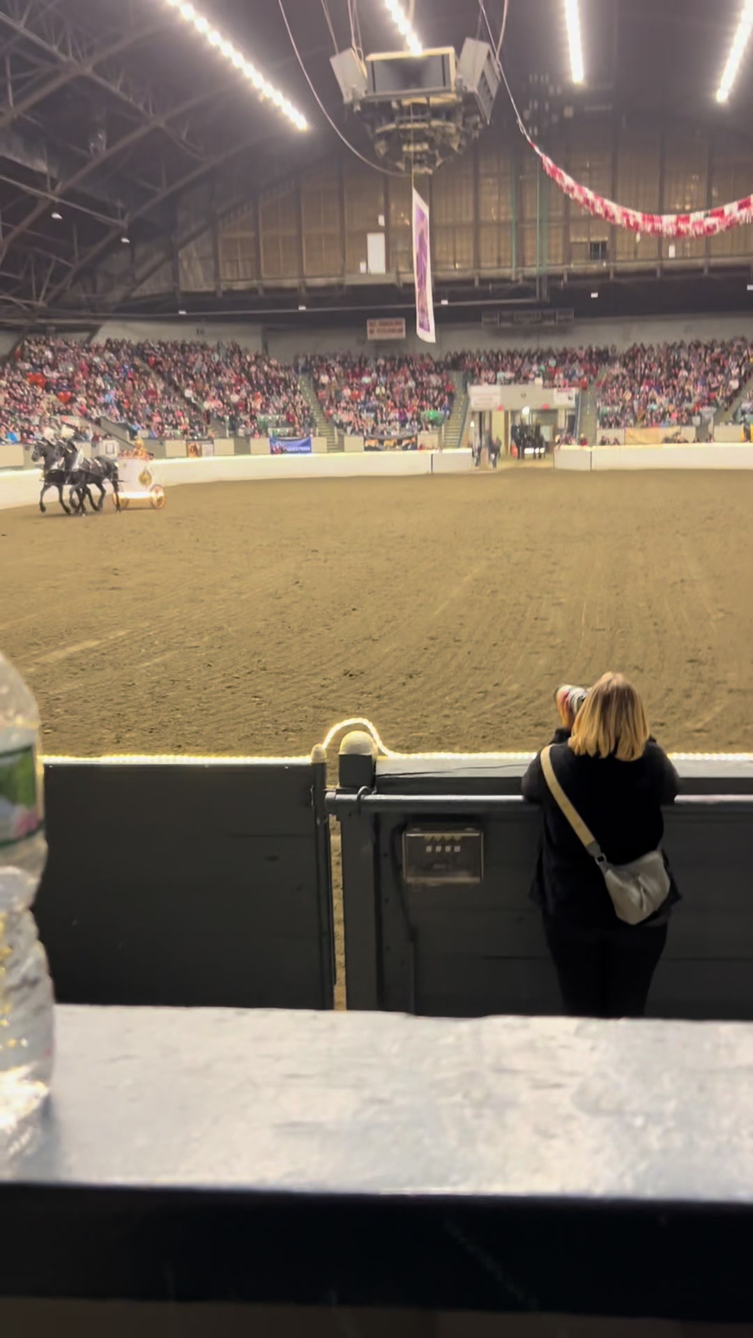 @horseshowqueen89