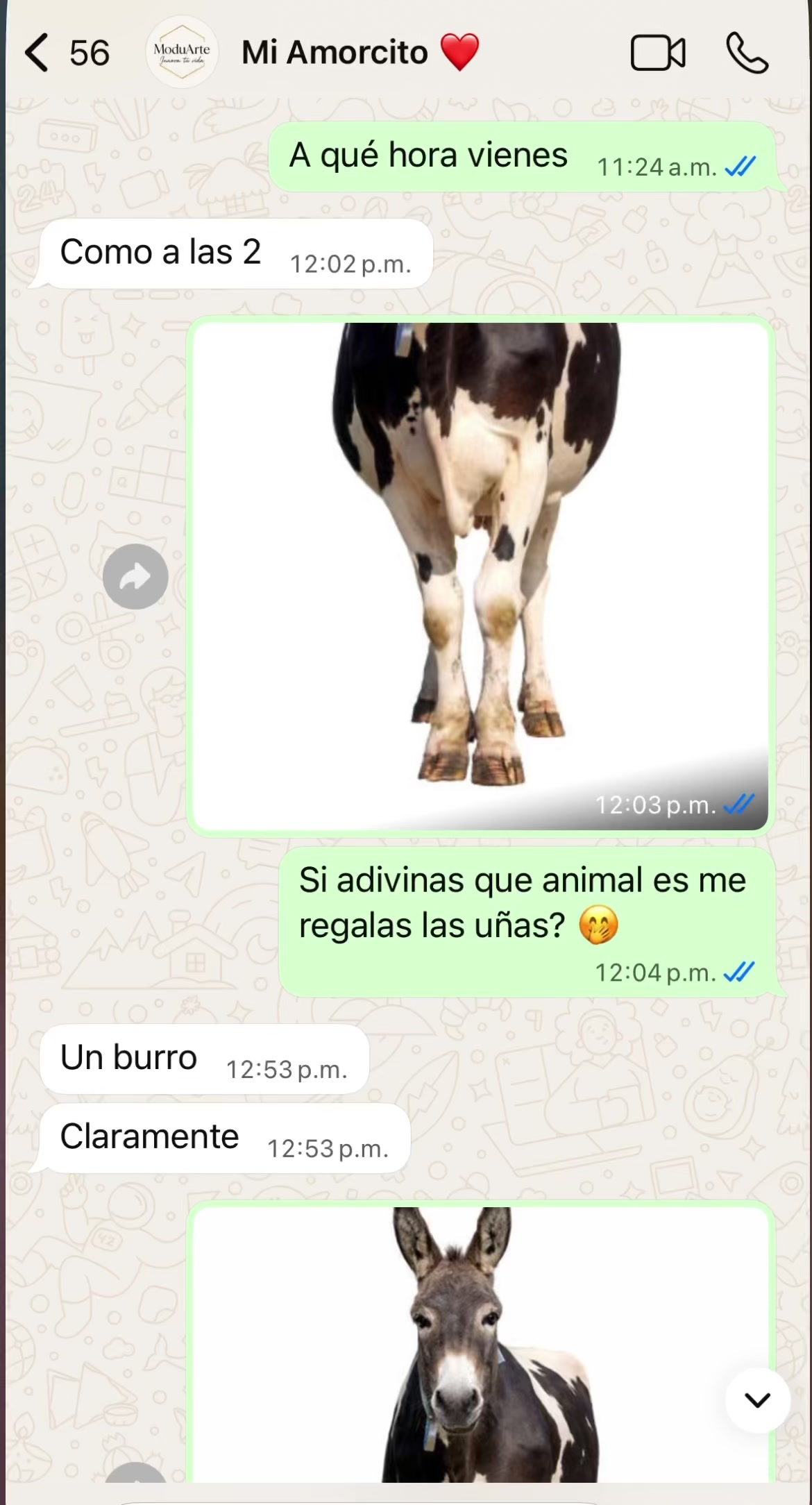 @Wendy Arrieta