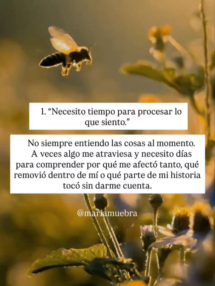 @Viviana Calabrese