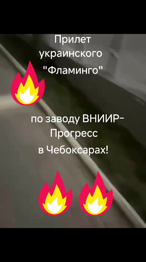 @haliina5