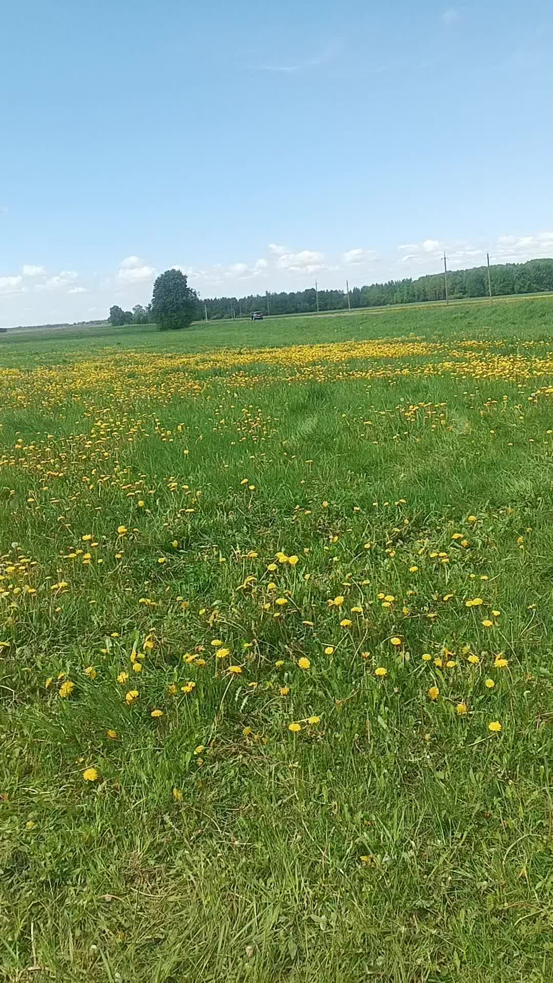 @Александр