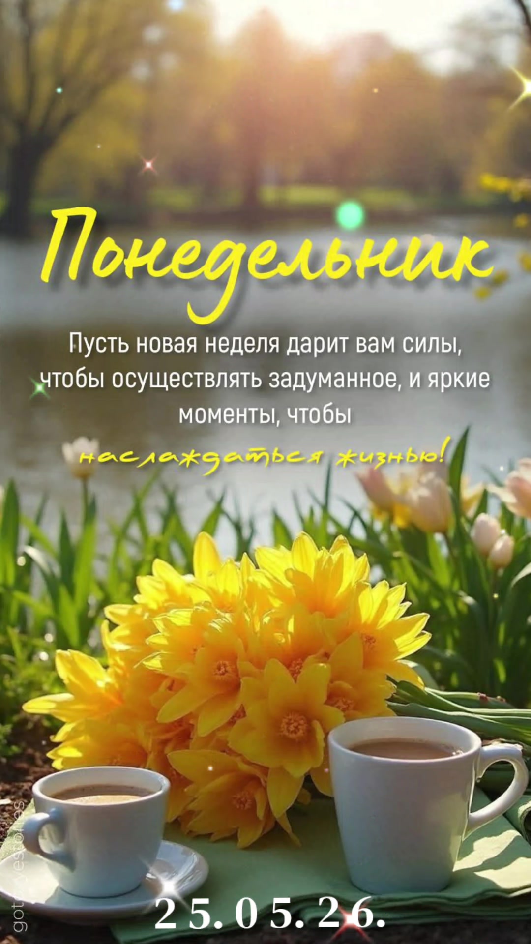 @СветЛана И